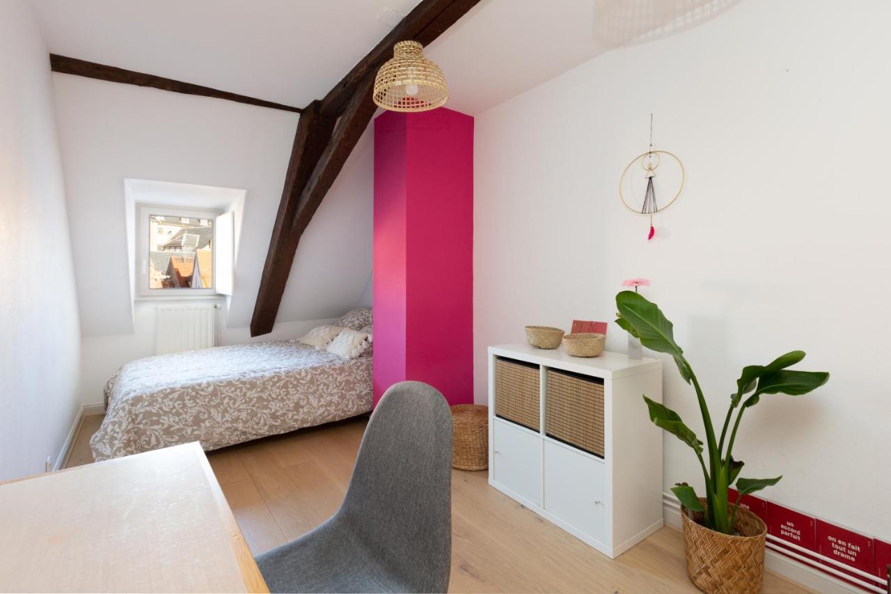 Petite France-Cathedrale, Duplex 100M2- 3 Chambres ストラスブール エクステリア 写真